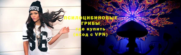 ПСИЛОЦИБИНОВЫЕ ГРИБЫ Михайловск