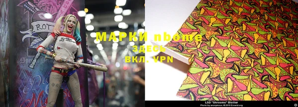 гидра Михайловка