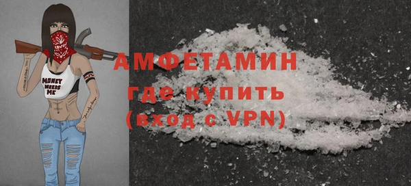 гидра Михайловка
