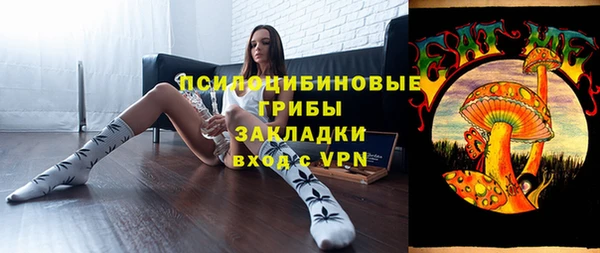 гидра Михайловка